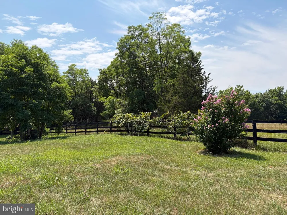 936 GUN BARREL RD White Post, VA 22663