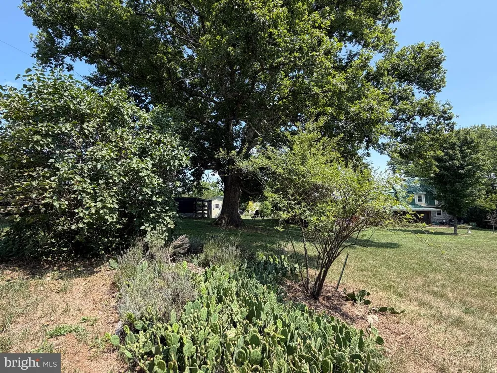 936 GUN BARREL RD White Post, VA 22663