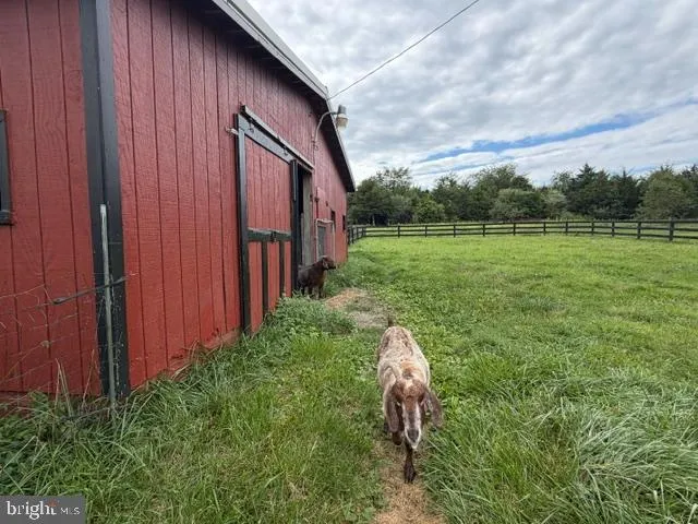 936 GUN BARREL RD White Post, VA 22663