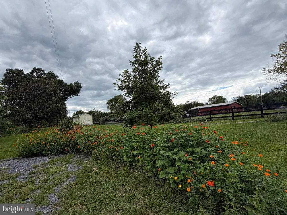 936 GUN BARREL RD White Post, VA 22663