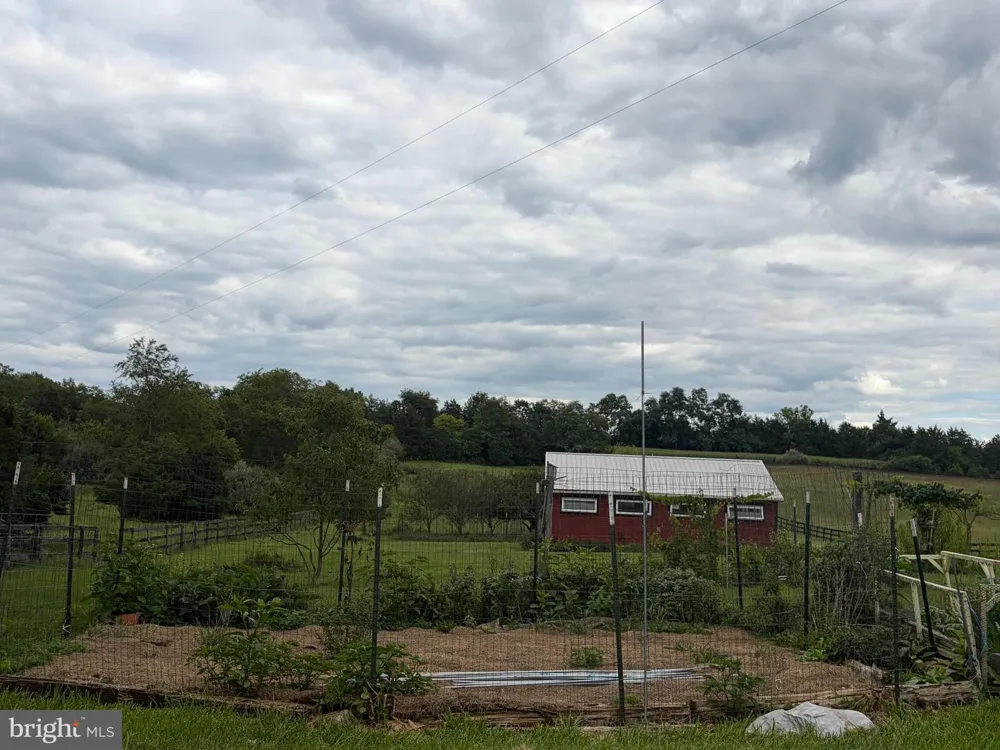 936 GUN BARREL RD White Post, VA 22663