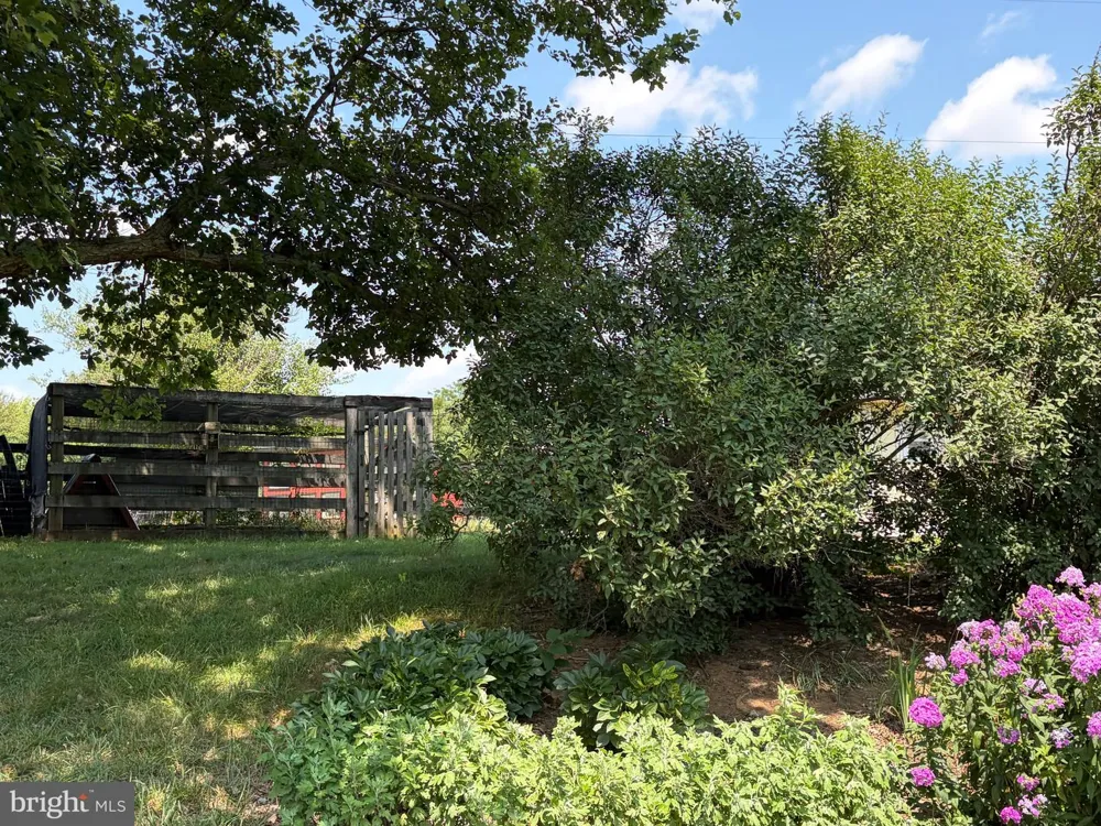 936 GUN BARREL RD White Post, VA 22663