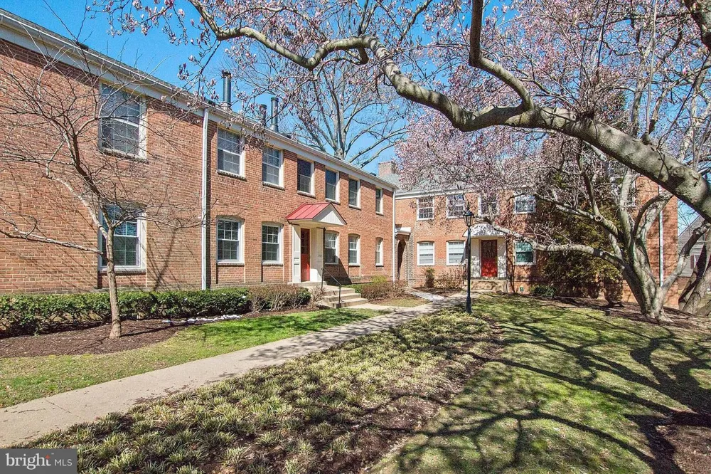 2409 ARLINGTON BOULEVARD #101 Arlington, VA 22201