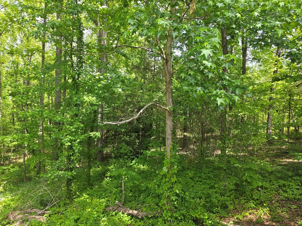 760 Hamilton Mulberry Grove Road Cataula, GA 31804