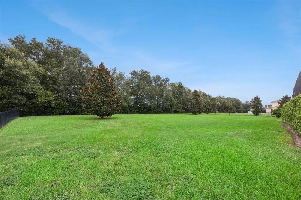 25874 CROSSINGS BLUFF LANE Sorrento, FL 32776