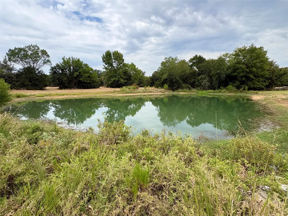 14372 Farm Road 269 S Pickton, TX 75471