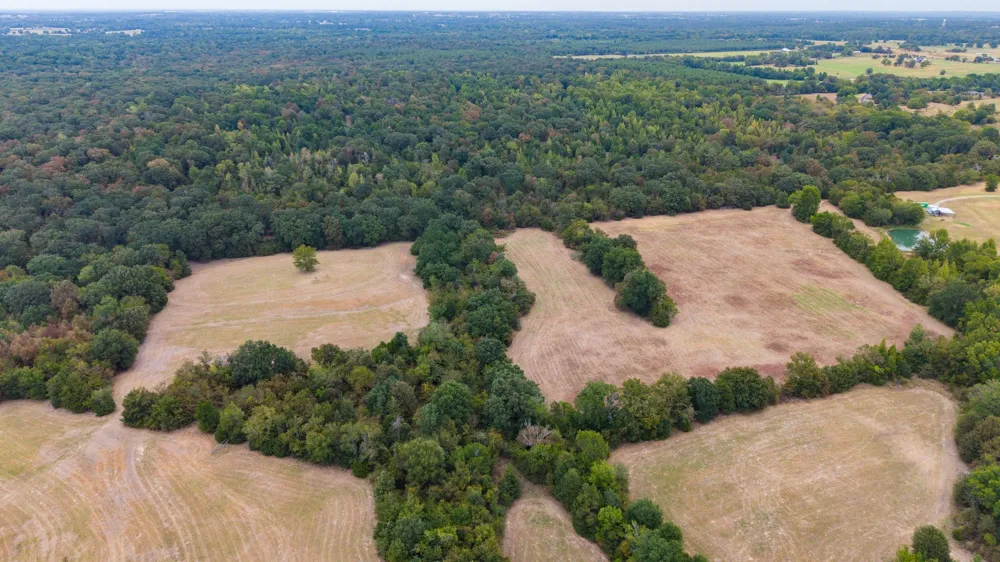14372 Farm Road 269 S Pickton, TX 75471