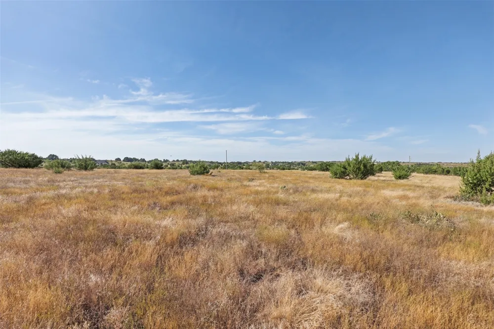 491 Hollow Drive Lipan, TX 76462