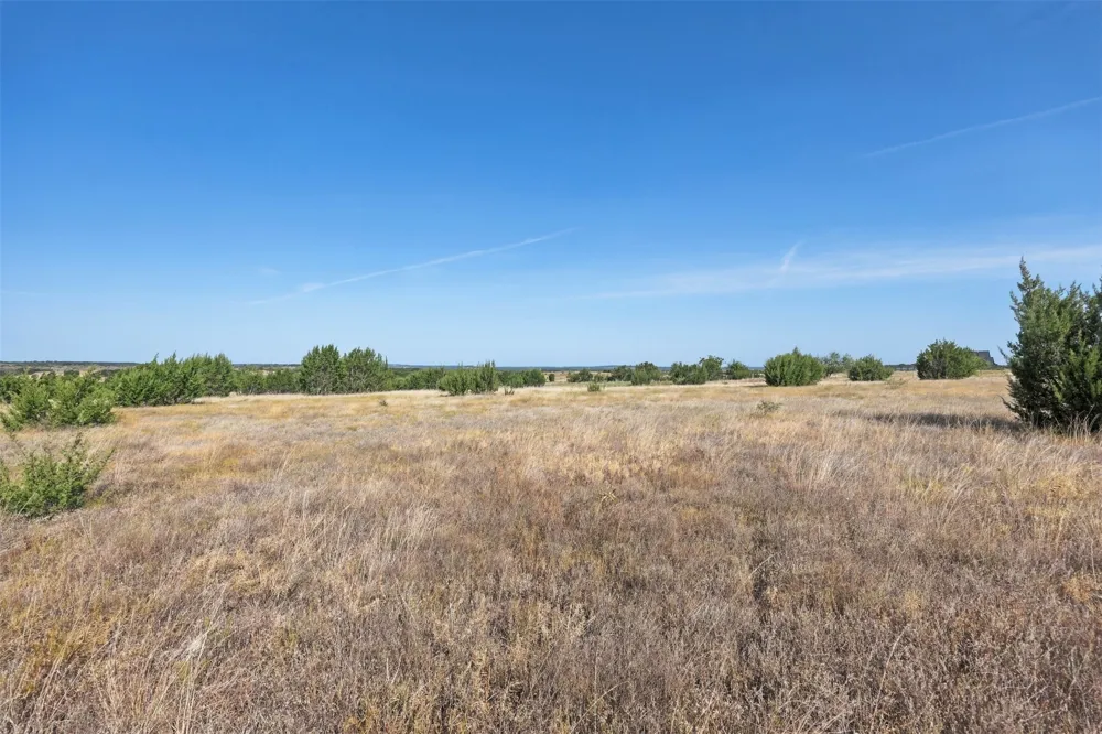 491 Hollow Drive Lipan, TX 76462