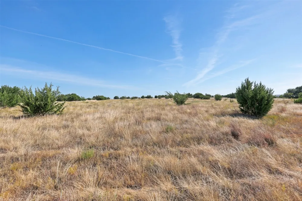 491 Hollow Drive Lipan, TX 76462
