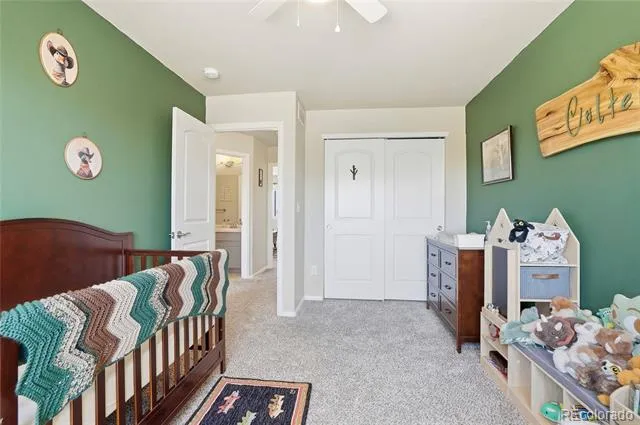 1068 Mt Oxford Avenue Severance, CO 80550