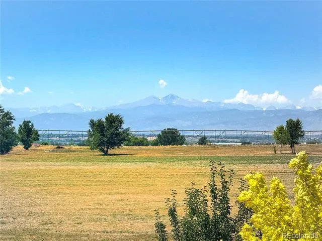 1068 Mt Oxford Avenue Severance, CO 80550
