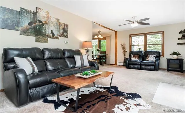 1064 Apex Valley Road Black Hawk, CO 80422