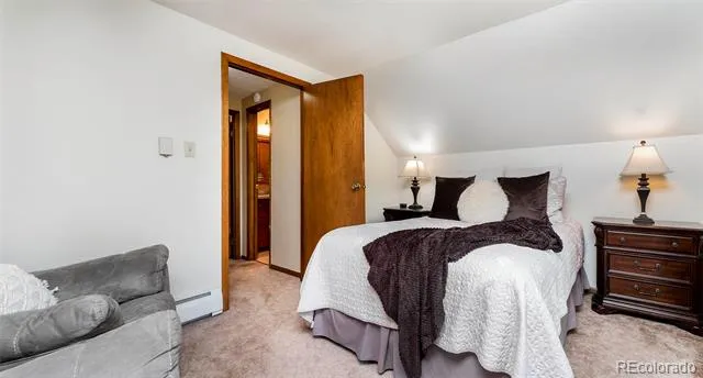 1064 Apex Valley Road Black Hawk, CO 80422