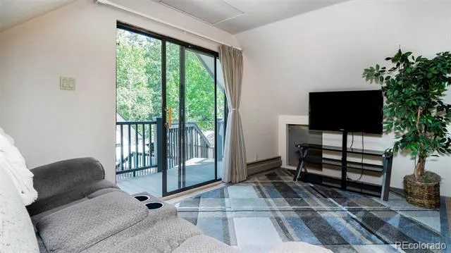 1064 Apex Valley Road Black Hawk, CO 80422