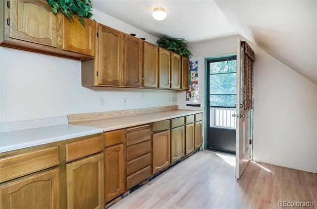1064 Apex Valley Road Black Hawk, CO 80422