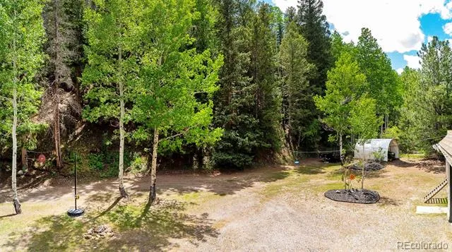 1064 Apex Valley Road Black Hawk, CO 80422