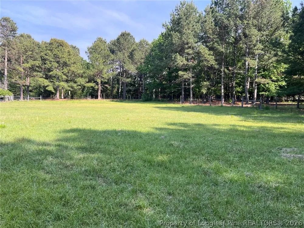 401 Nubbin Ridge Lane Carthage, NC 28394