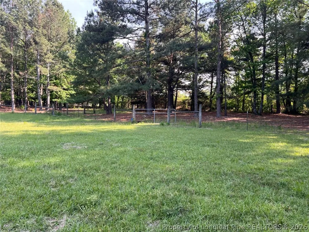 401 Nubbin Ridge Lane Carthage, NC 28394