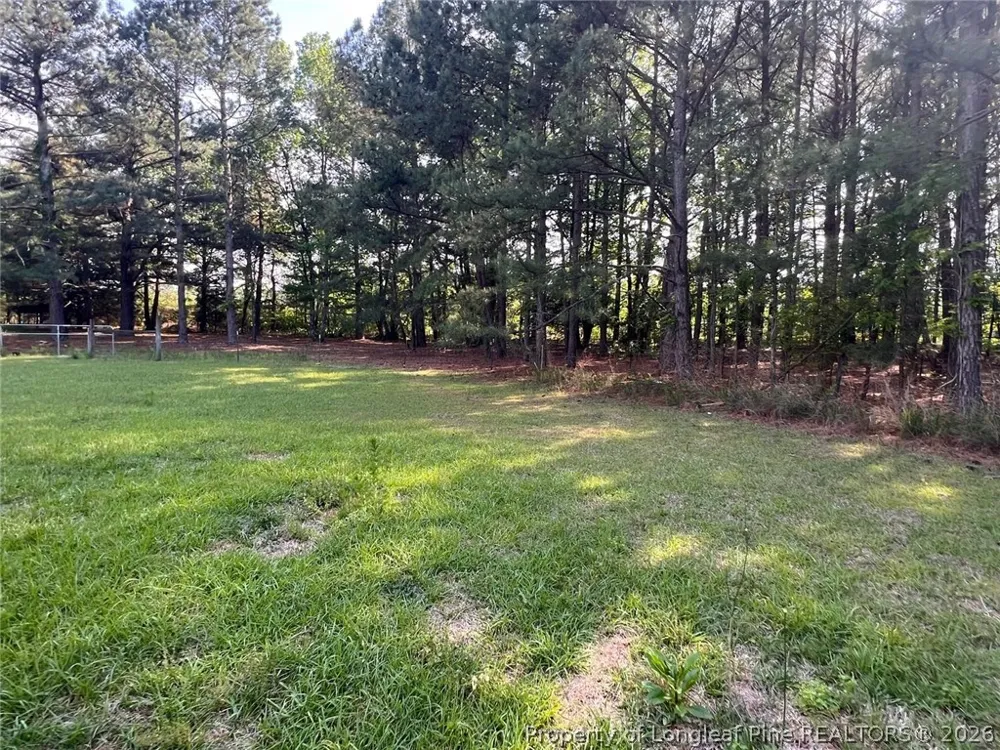 401 Nubbin Ridge Lane Carthage, NC 28394