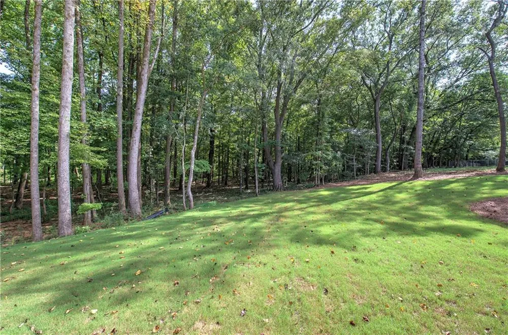 10 Dove Pointe Euharlee, GA 30145