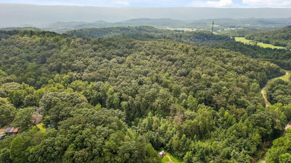 6180 Slygo Road Wildwood, GA 30757