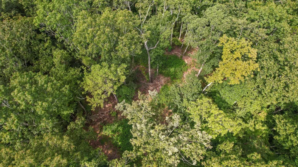 6180 Slygo Road Wildwood, GA 30757