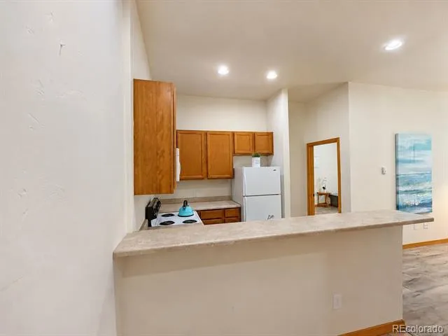118 W 2nd Street #H Leadville, CO 80461