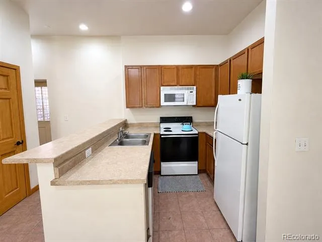 118 W 2nd Street #H Leadville, CO 80461