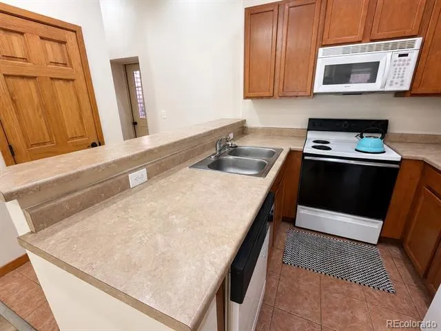 118 W 2nd Street #H Leadville, CO 80461