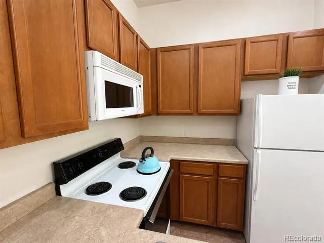 118 W 2nd Street #H Leadville, CO 80461