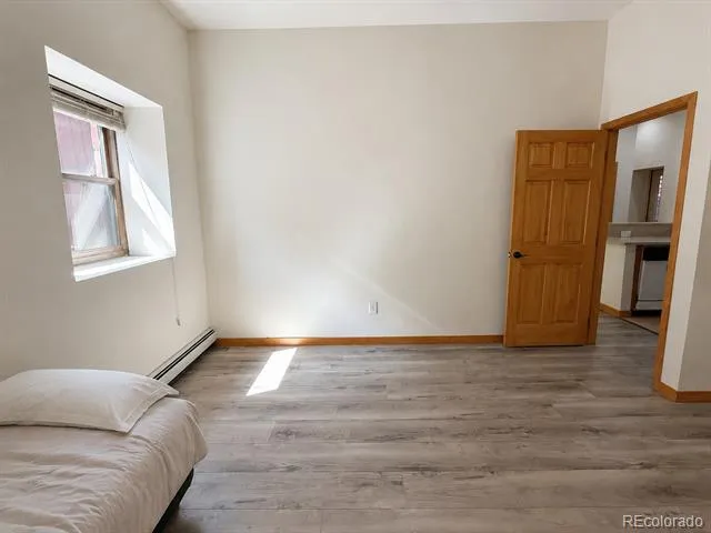 118 W 2nd Street #H Leadville, CO 80461