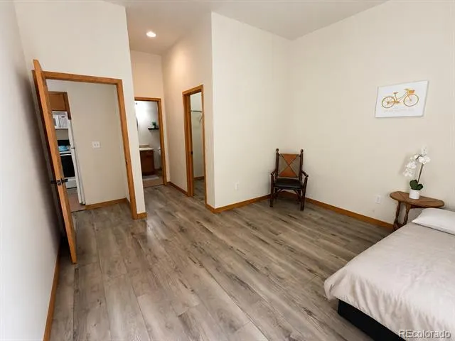 118 W 2nd Street #H Leadville, CO 80461