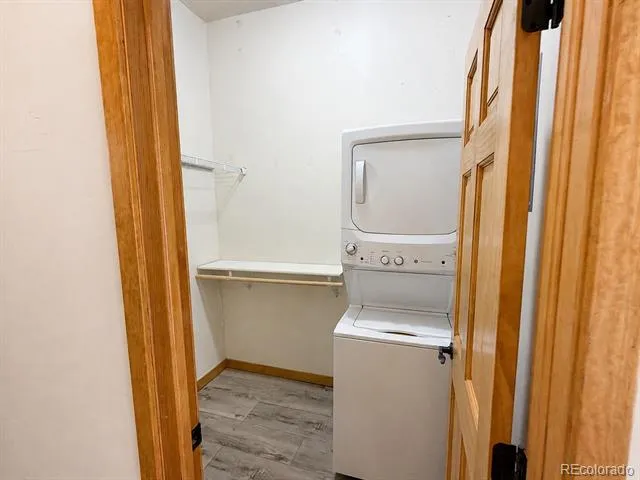 118 W 2nd Street #H Leadville, CO 80461
