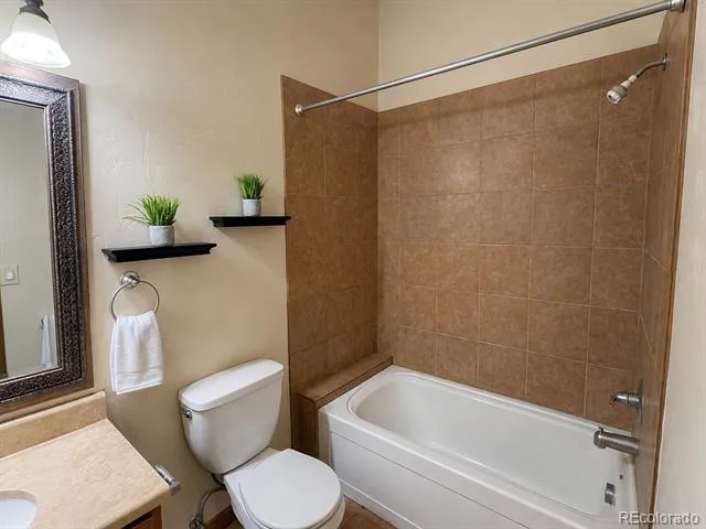118 W 2nd Street #H Leadville, CO 80461