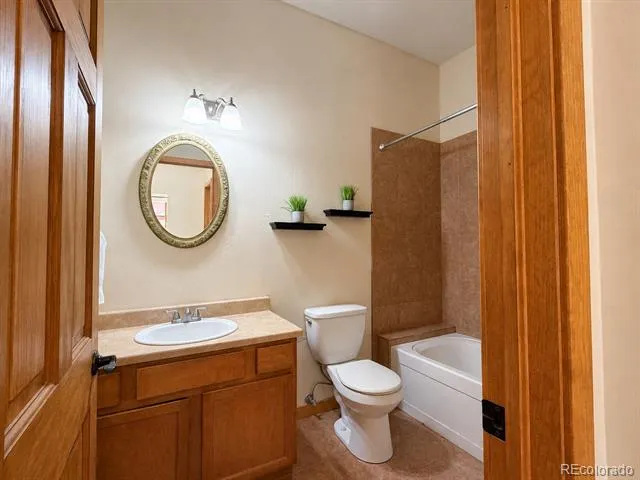 118 W 2nd Street #H Leadville, CO 80461