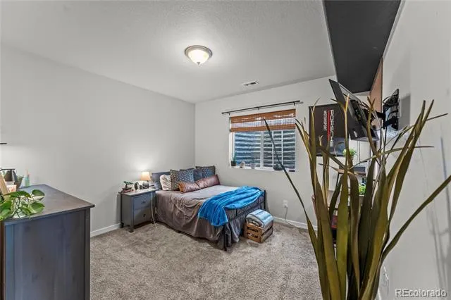 6382 Ottawa Drive Colorado Springs, CO 80924