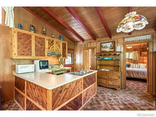 702 Bryan Avenue Nederland, CO 80466