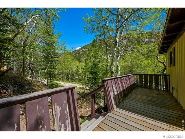 702 Bryan Avenue Nederland, CO 80466