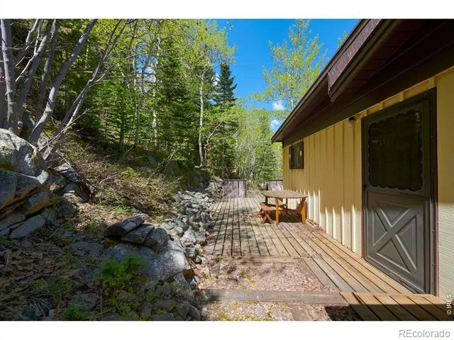 702 Bryan Avenue Nederland, CO 80466
