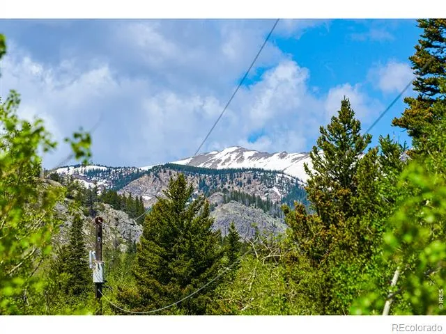 702 Bryan Avenue Nederland, CO 80466