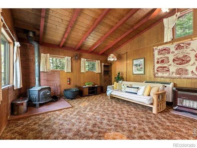 702 Bryan Avenue Nederland, CO 80466