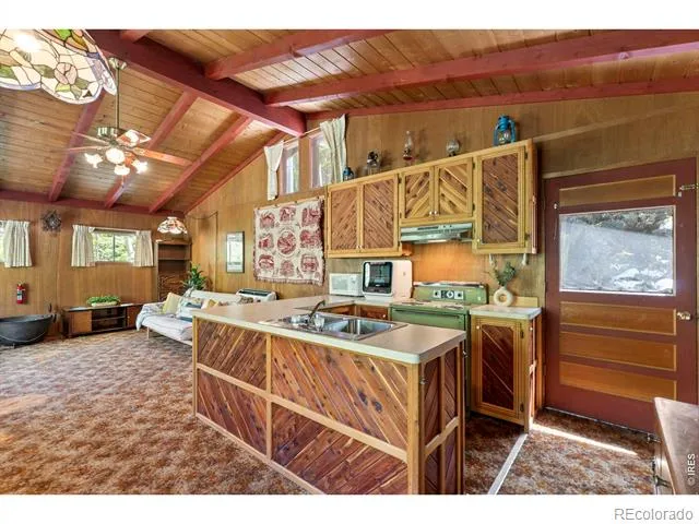702 Bryan Avenue Nederland, CO 80466