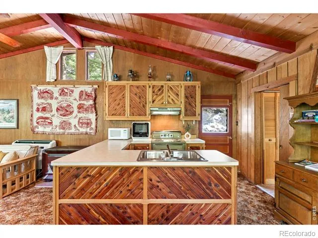 702 Bryan Avenue Nederland, CO 80466