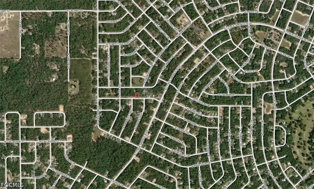 W Boulton Citrus Springs, FL 34433