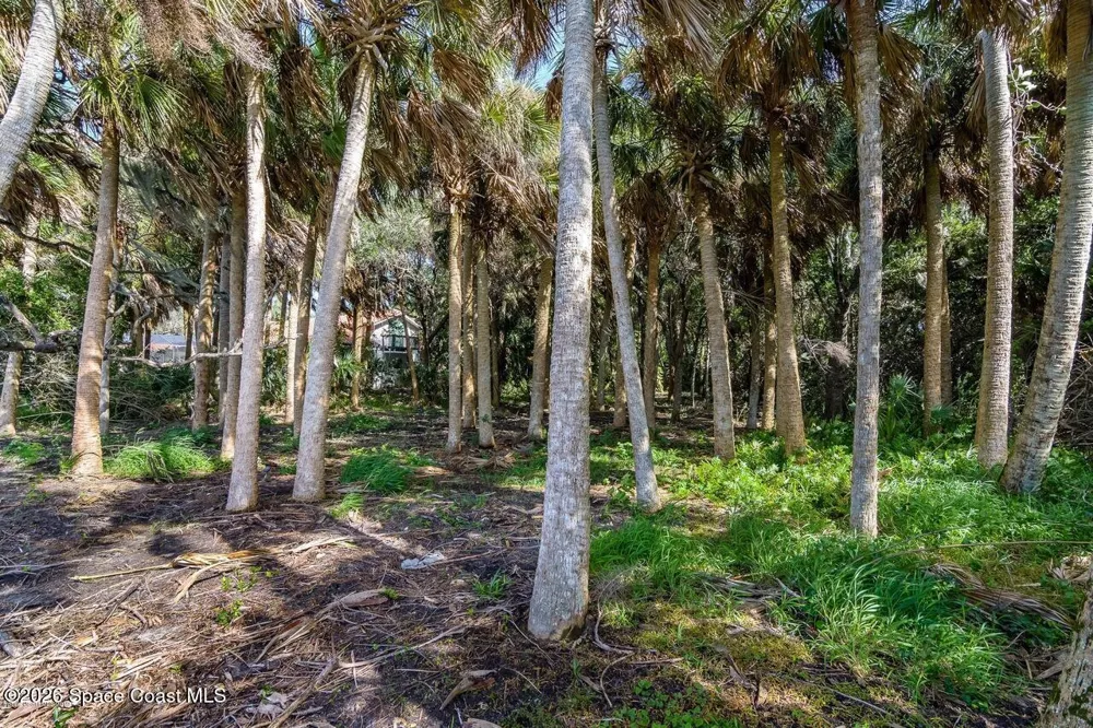 2940 Maritime Lane Merritt Island, FL 32953