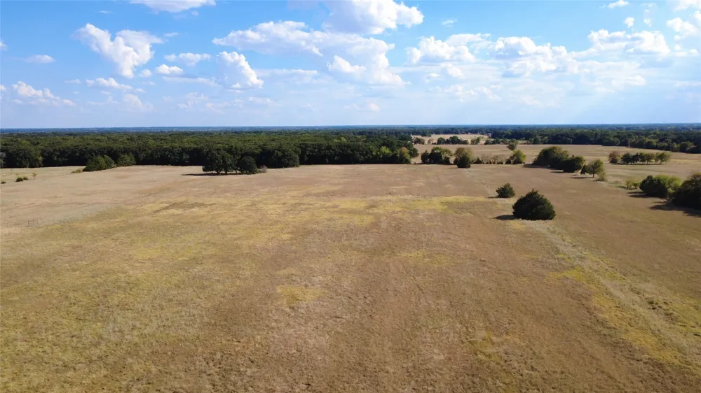 2600 CR Bonham, TX 75447
