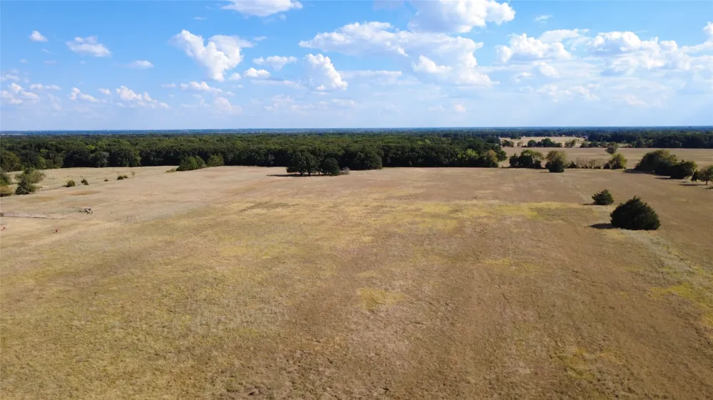 2600 CR Bonham, TX 75447