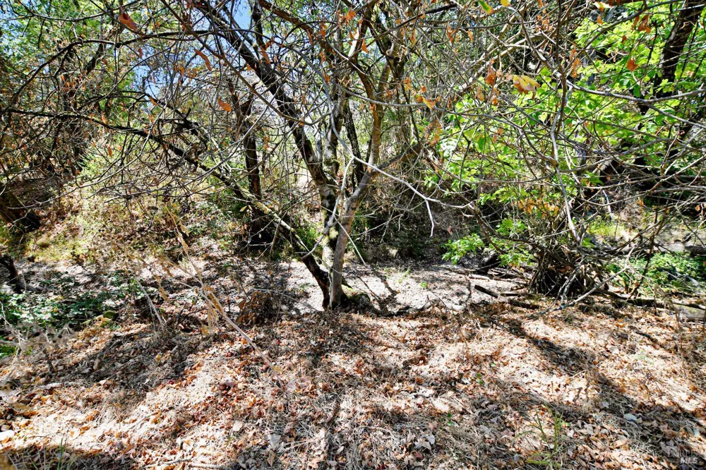 21355 Hyde Road Sonoma, CA 95476