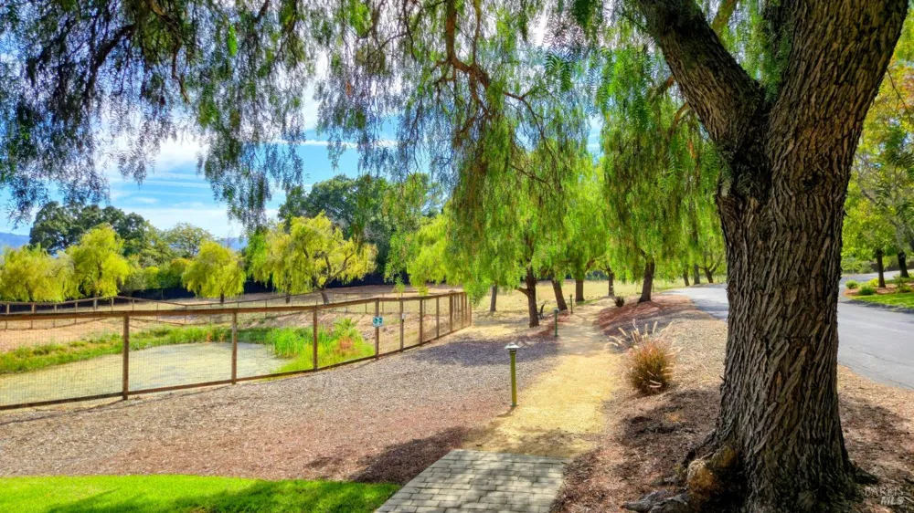 101 Windwalker Way Novato, CA 94945